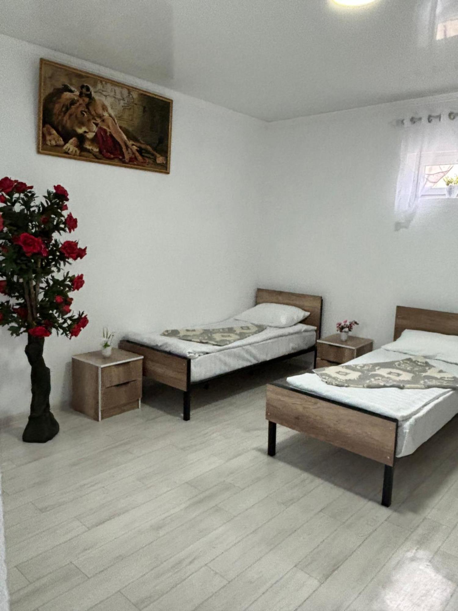 Hostel,Halal Хостел,Халал Tokmok Dış mekan fotoğraf